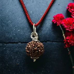 6 Mukhi Nepali Rudraksha - Chhey Mukhi